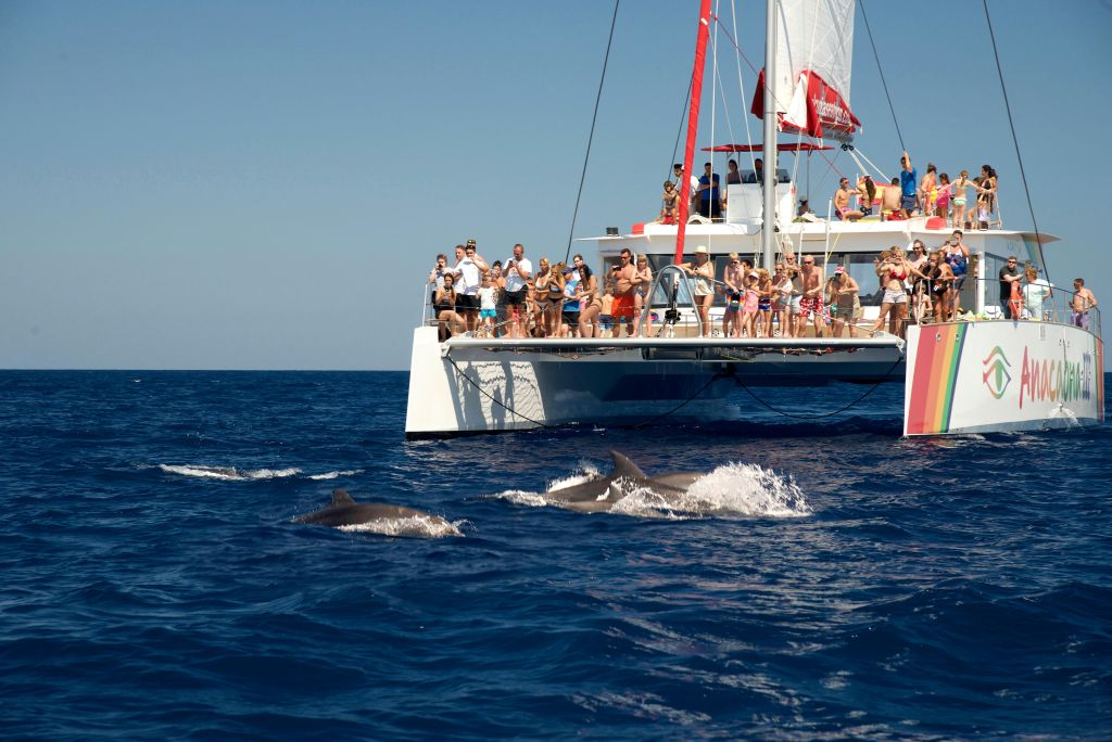 Mallorca: Crucero de 2 horas con amanecer en el mar y delfines