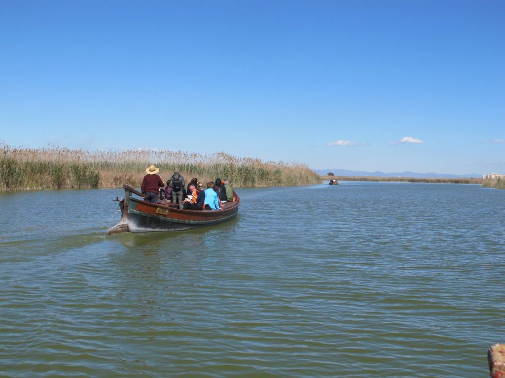 Valencia: 48-Hr Hop-on Hop-off Bus with Albufera Line + Boat Tour
