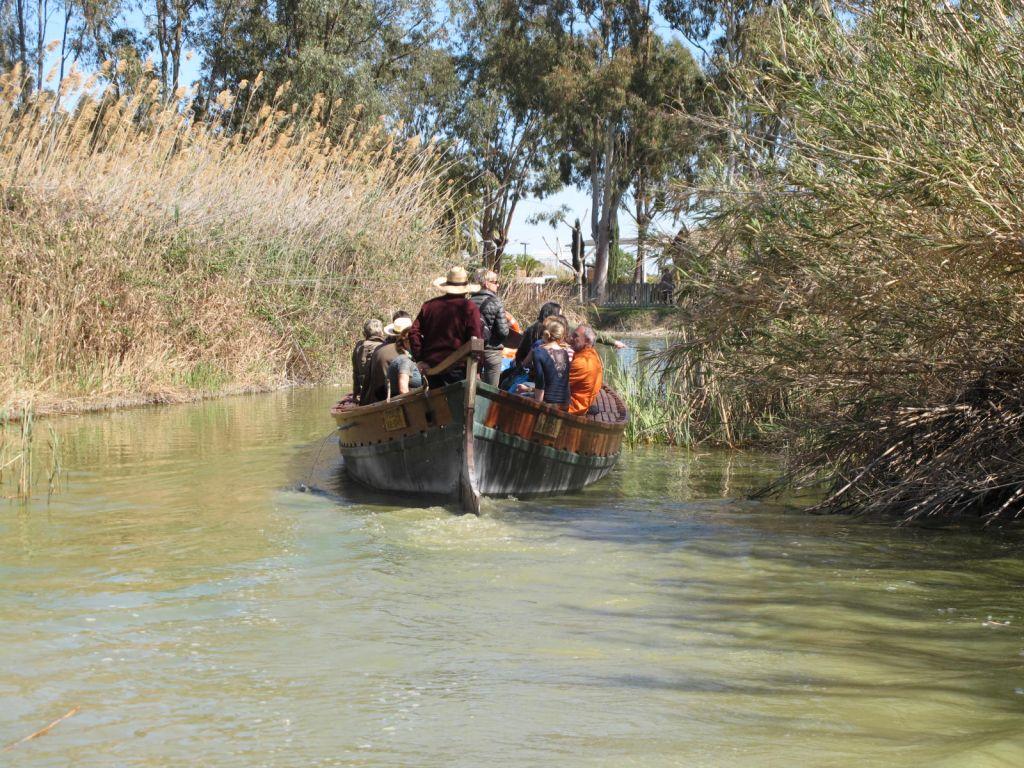 Valencia: 48-Hr Hop-on Hop-off Bus with Albufera Line + Boat Tour