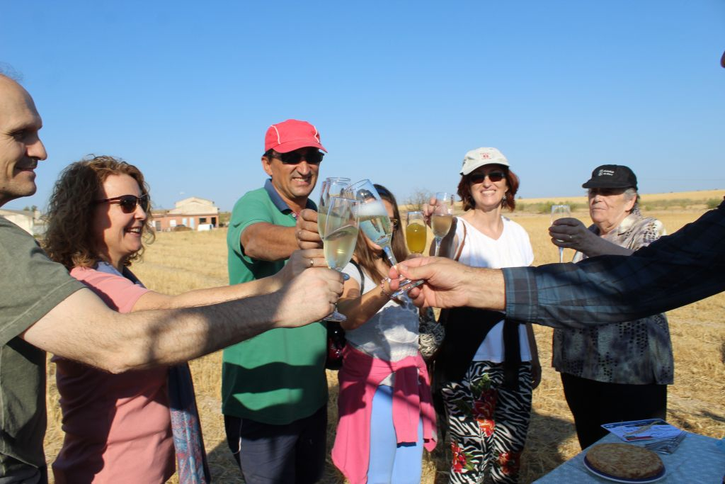 Balloon Flight over Segovia with Transport from Madrid