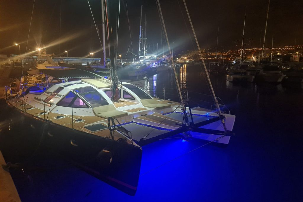 Tenerife: Excursión de 3 horas en Catamarán para Avistamiento de Ballenas y Delfines con Catering