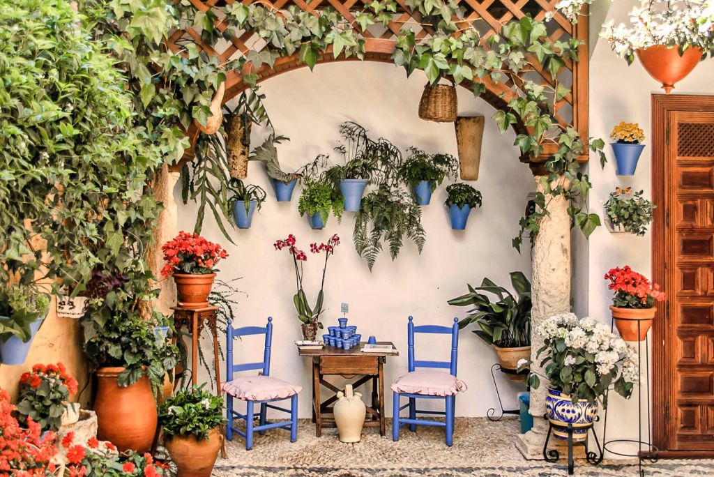 Patios de Córdoba: Visita guiada