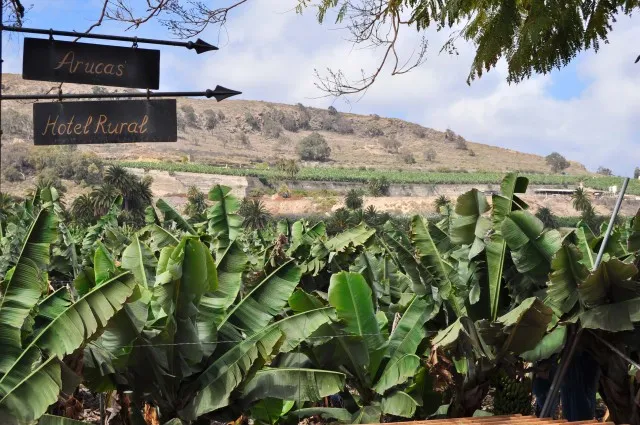 Excursiones de 1 día en Gran Canaria