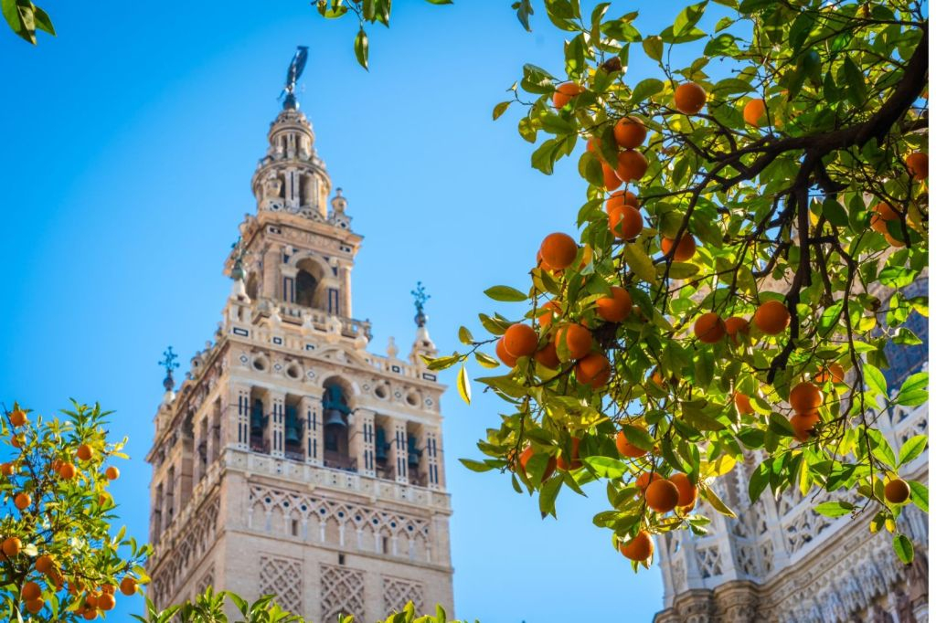 Seville Cathedral, Giralda, and Alcazar: Guided Tour