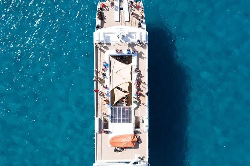 Santa Ponsa: Excursión en barco para avistar delfines