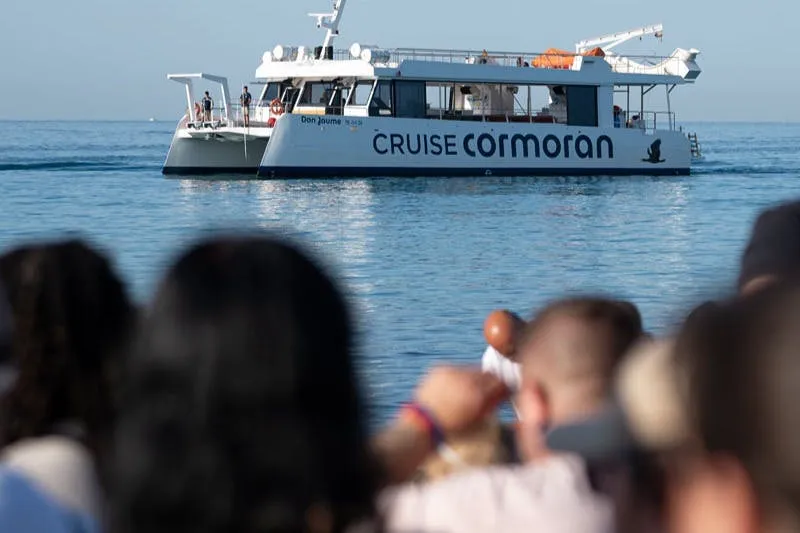Santa Ponsa: Excursión en barco para avistar delfines