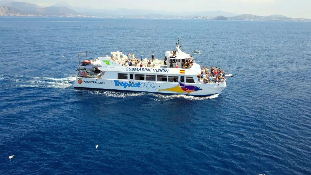 Santa Ponsa: Excursión en barco para avistar delfines