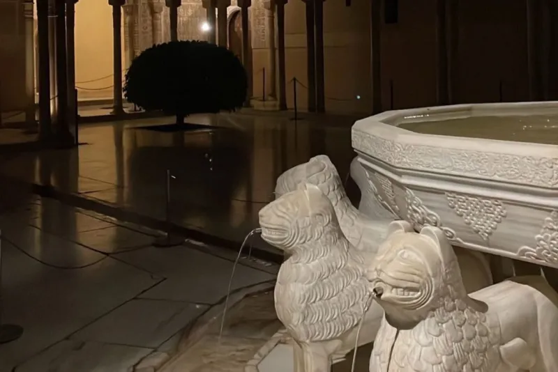 Alhambra y Palacios nazaríes: Entrada sin colas + Tour nocturno