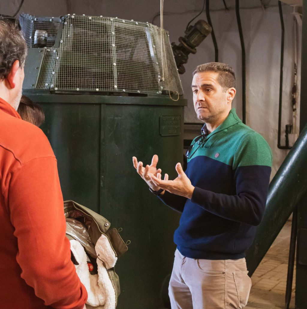 Azienda Agricola di Olio d'Oliva: Tour Guidato da Siviglia