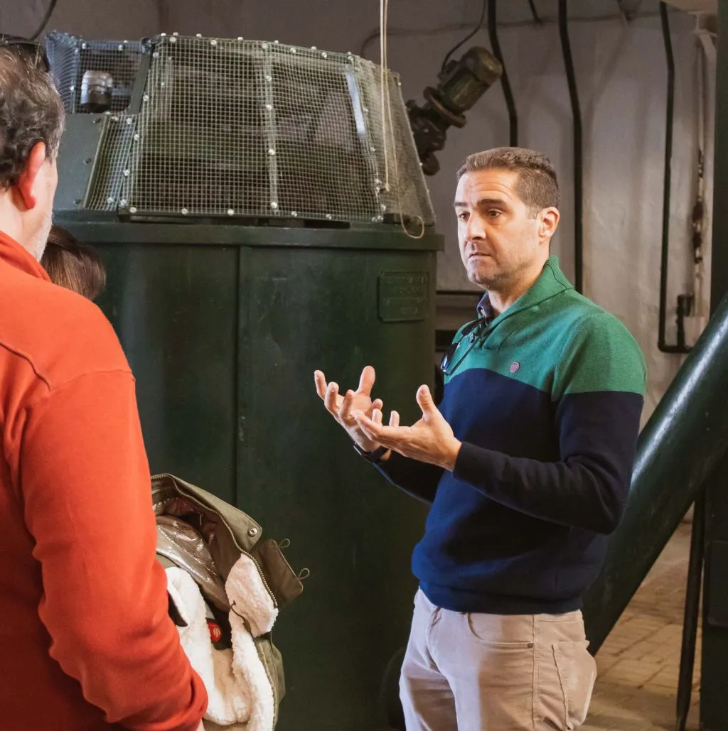 Olive Oil Farm from Seville: Guided Tour