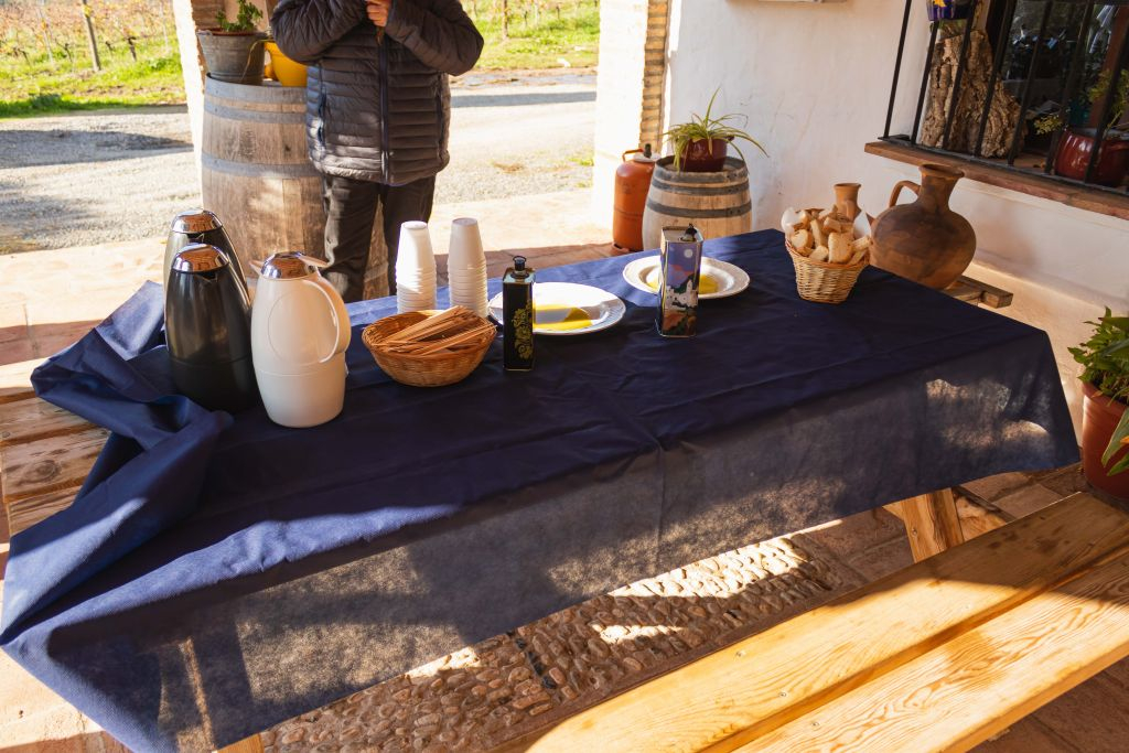 Azienda Agricola di Olio d'Oliva: Tour Guidato da Siviglia