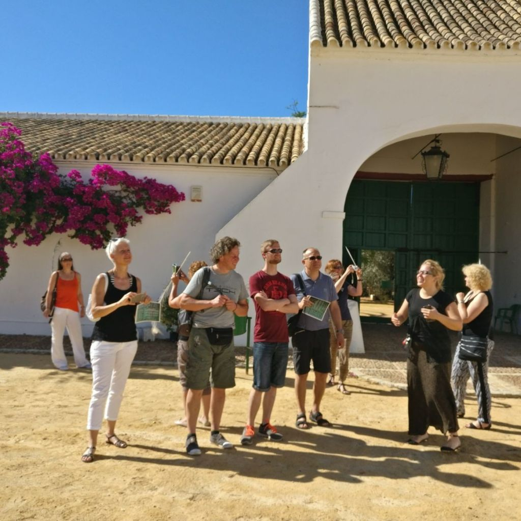 Azienda Agricola di Olio d'Oliva: Tour Guidato da Siviglia