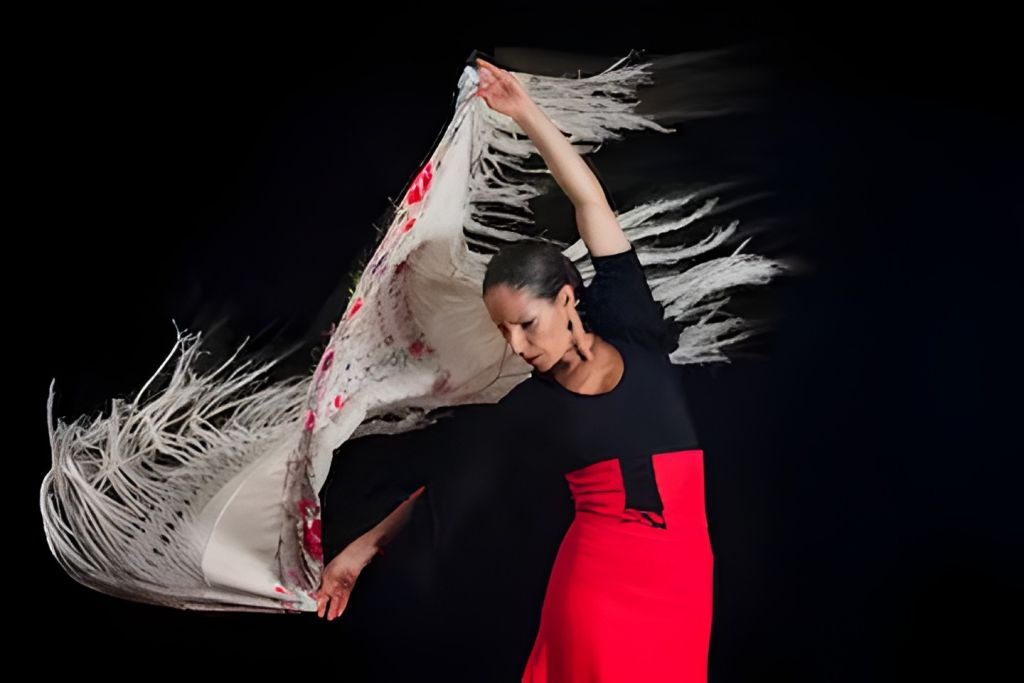 Alhambra: Visita Guiada con Espectáculo Flamenco y Bebida + Transporte desde Granada