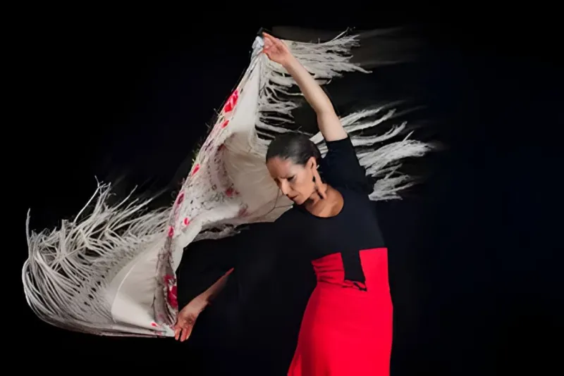 Alhambra : visite guidée avec spectacle de flamenco et boisson + transport depuis Grenade