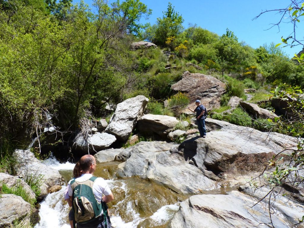 Sierra Nevada: Tour guiado desde Granada