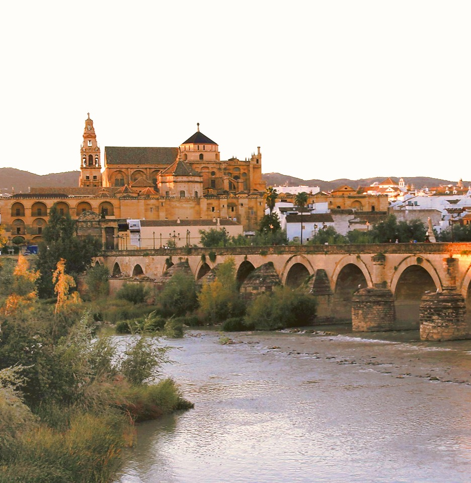 Escursione a Cordova e alla Moschea da Granada
