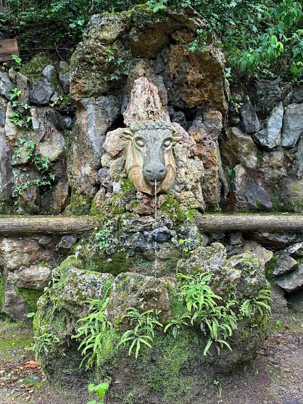Jardins Artigas: Entry Ticket