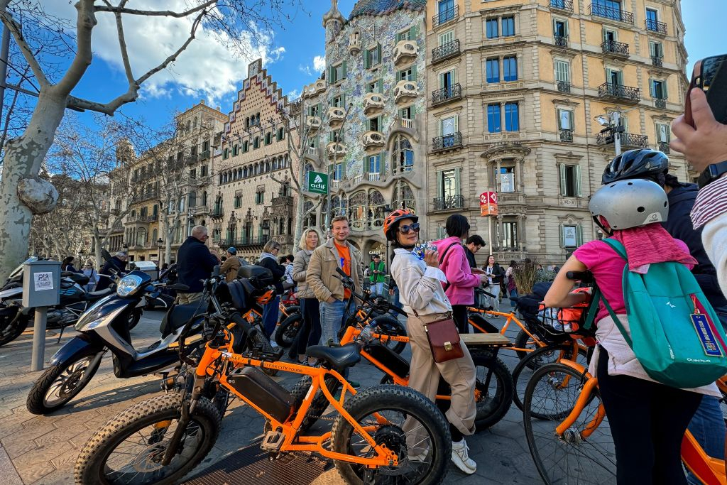 Top-25 Sights Guided City Tour by Bike or E-Bike