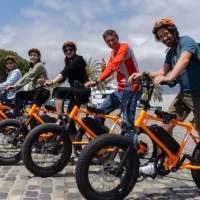 Top-25 Sights Guided City Tour by Bike or E-Bike
