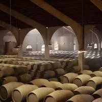Seville: Day Trip for Wine Tasting in Jerez and Cadiz & Horse Show