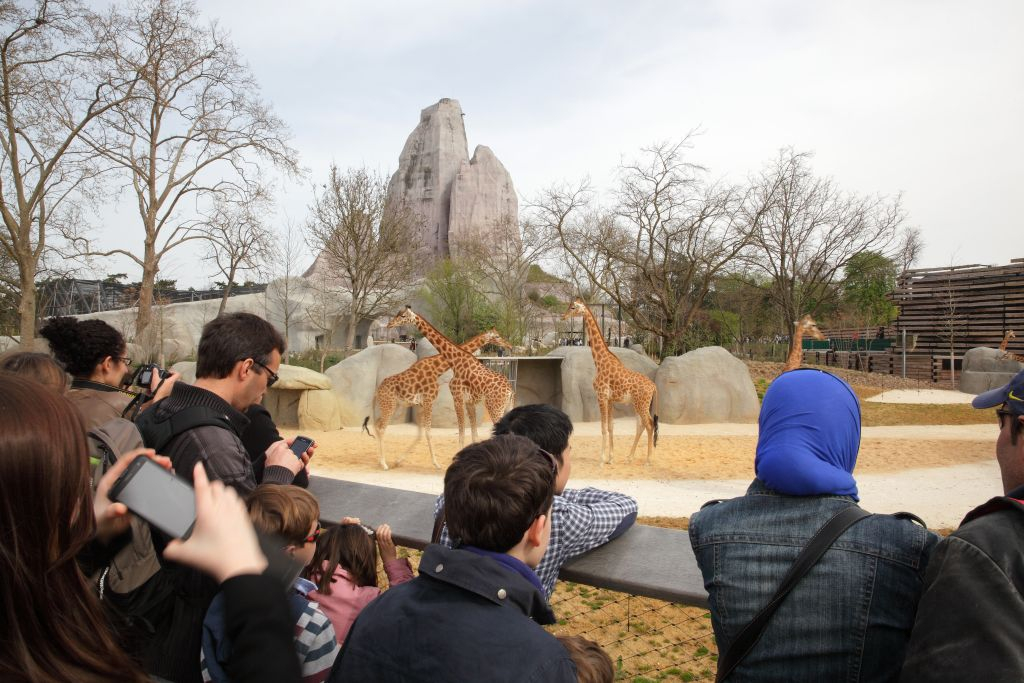 Paris Zoological Park (Parc Zoologique de Paris): Entry Ticket