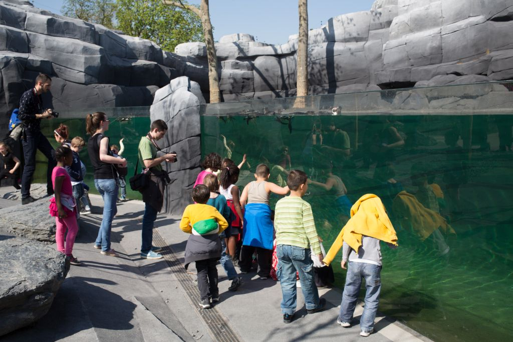 Paris Zoological Park (Parc Zoologique de Paris): Entry Ticket