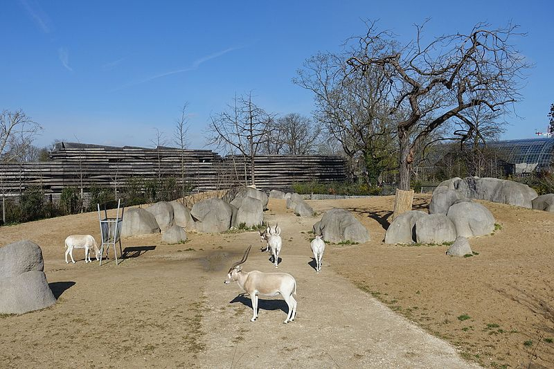 Paris Zoological Park (Parc Zoologique de Paris): Entry Ticket