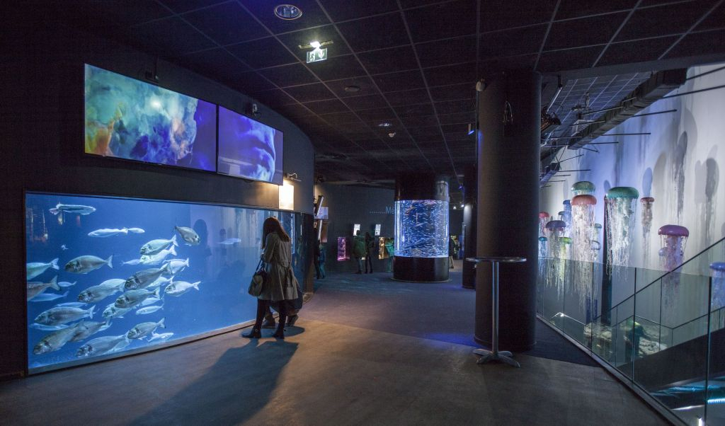 Aquarium de Paris