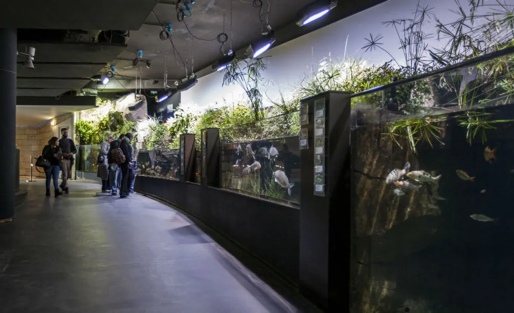 Aquarium de Paris
