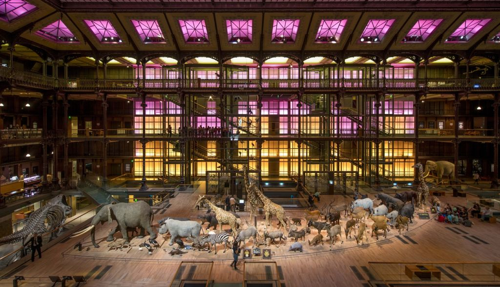 Grande Galerie de l'Évolution: Skip The Line Ticket