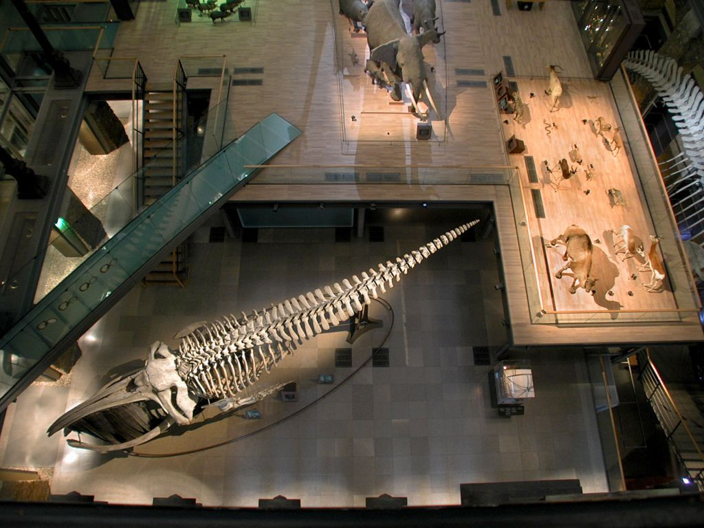 Grande Galerie de l'Évolution: Skip The Line Ticket
