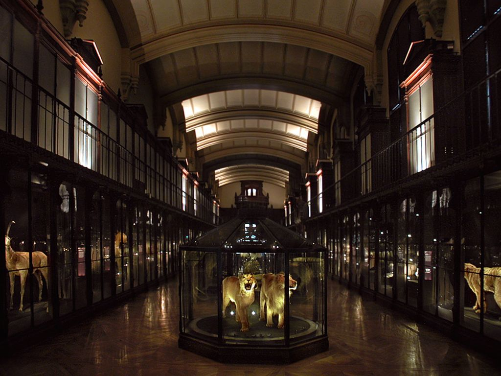 Grande Galerie de l'Évolution: Skip The Line Ticket