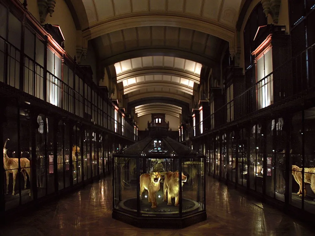 Grande Galerie de l'Évolution: Skip The Line Ticket