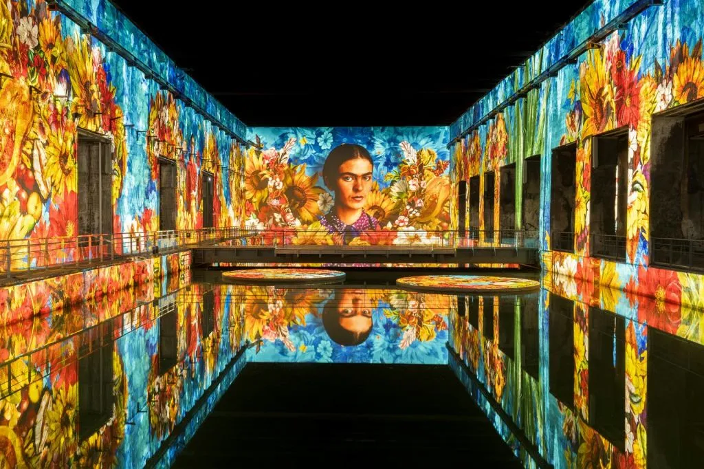 Les Bassins des Lumières: Fast Track Ticket