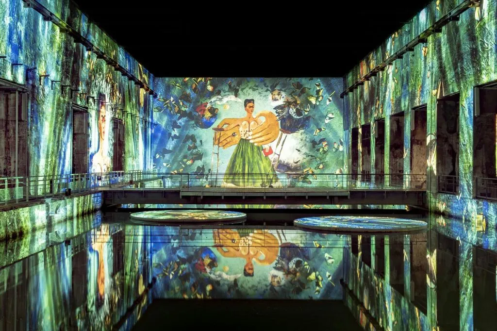 Les Bassins des Lumières: Fast Track Ticket