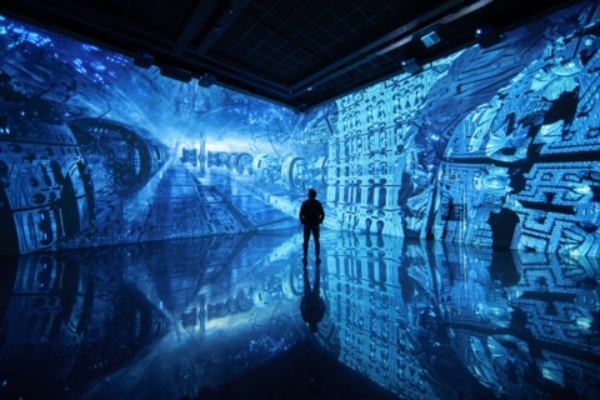 Les Bassins des Lumières: Fast Track Ticket