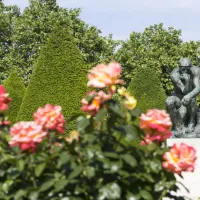 Musée Rodin: Skip The Line