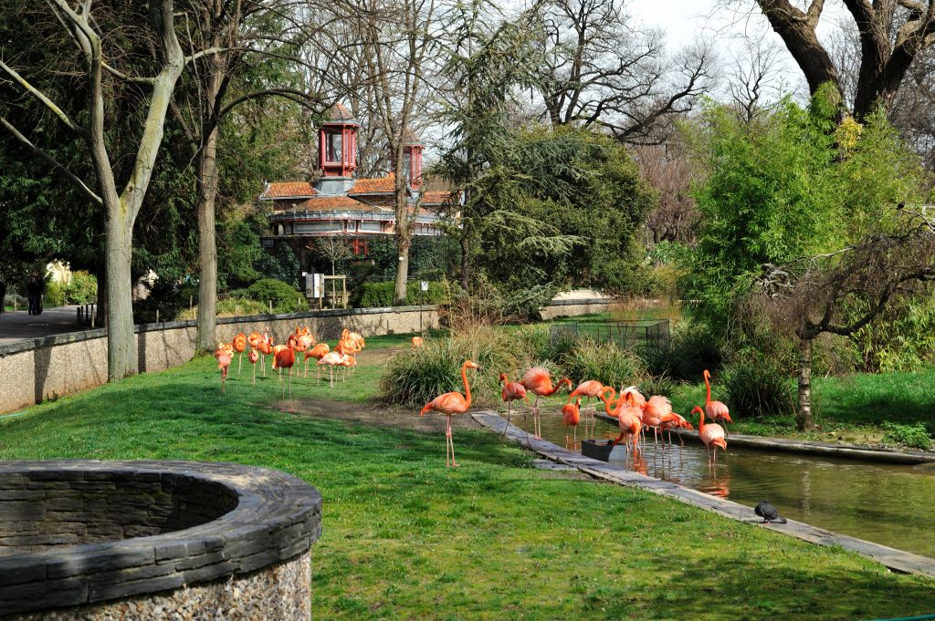 Ménagerie, Zoo di Jardin des Plantes: Salta la Coda
