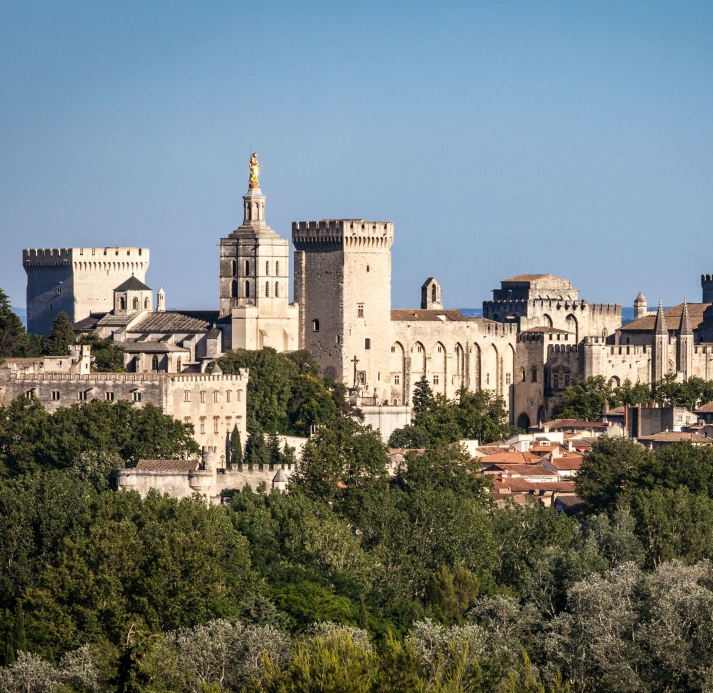 Palais des Papes & Pont d'Avignon : Billet d'entrée