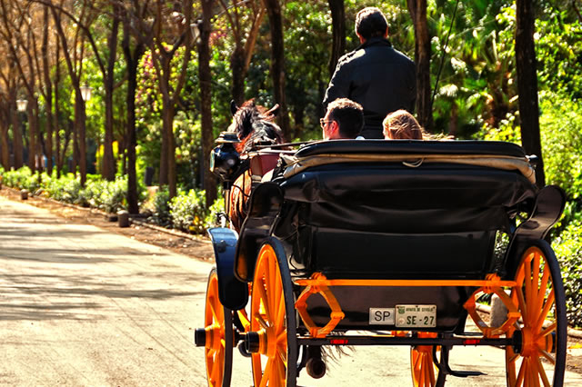 Horse carriage ride through Seville