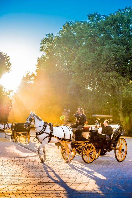Horse carriage ride through Seville