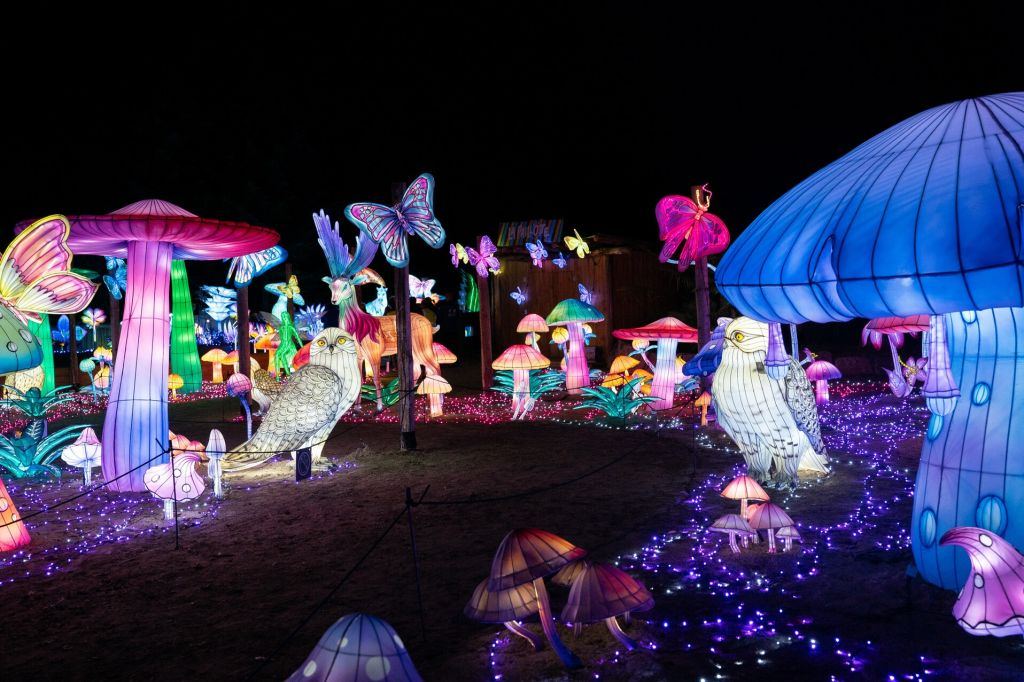 Jardim Zoológico de Amnéville: Bilhete de acesso rápido