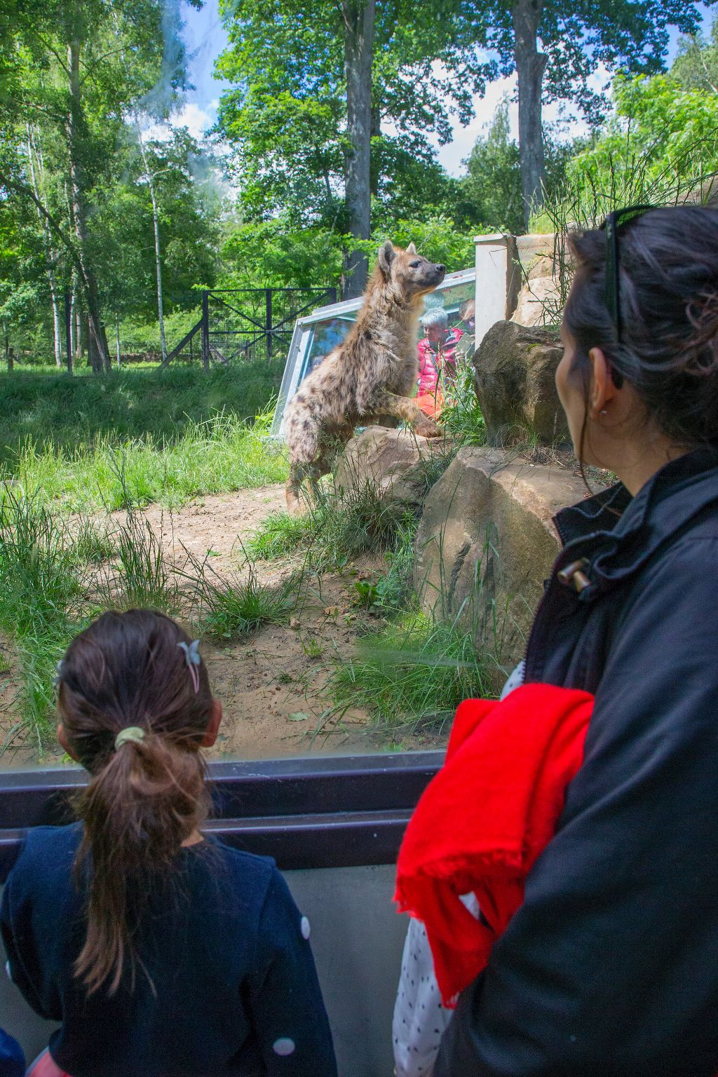 Thoiry ZooSafari: Skip The Line
