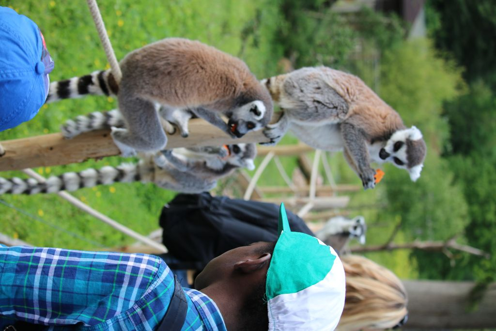 Thoiry ZooSafari: Skip The Line