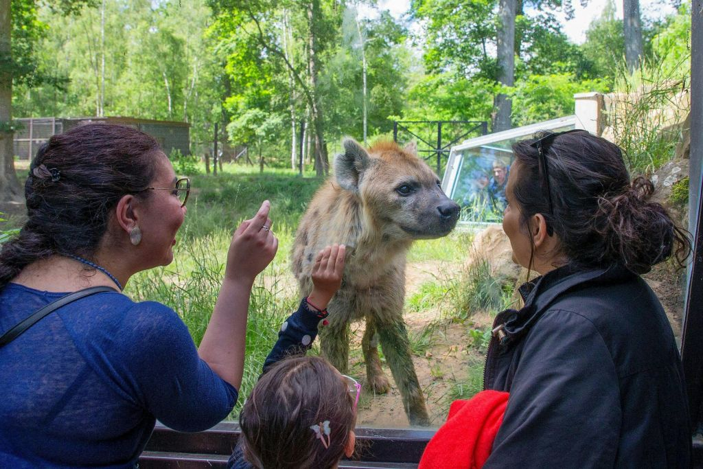Thoiry ZooSafari: Skip The Line