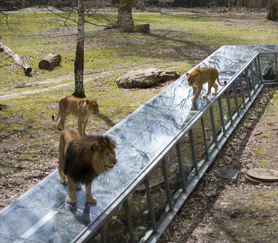 Thoiry ZooSafari: Skip The Line
