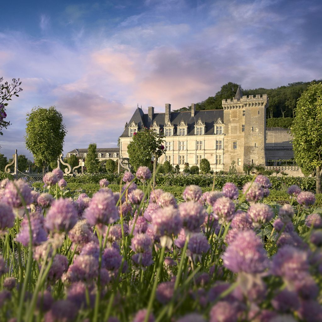 Château de Villandry: Billet d'entrée