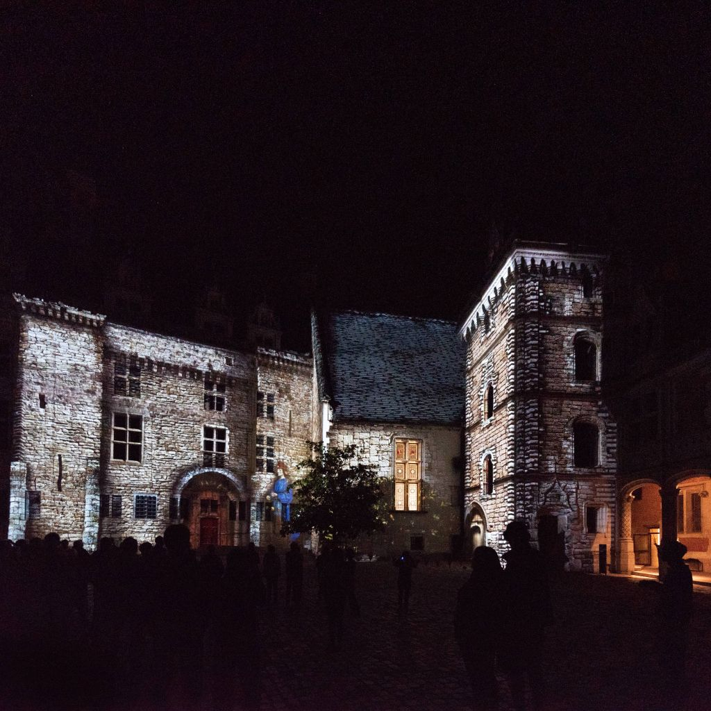 Le Château Royal de Blois: Billet d'entrée