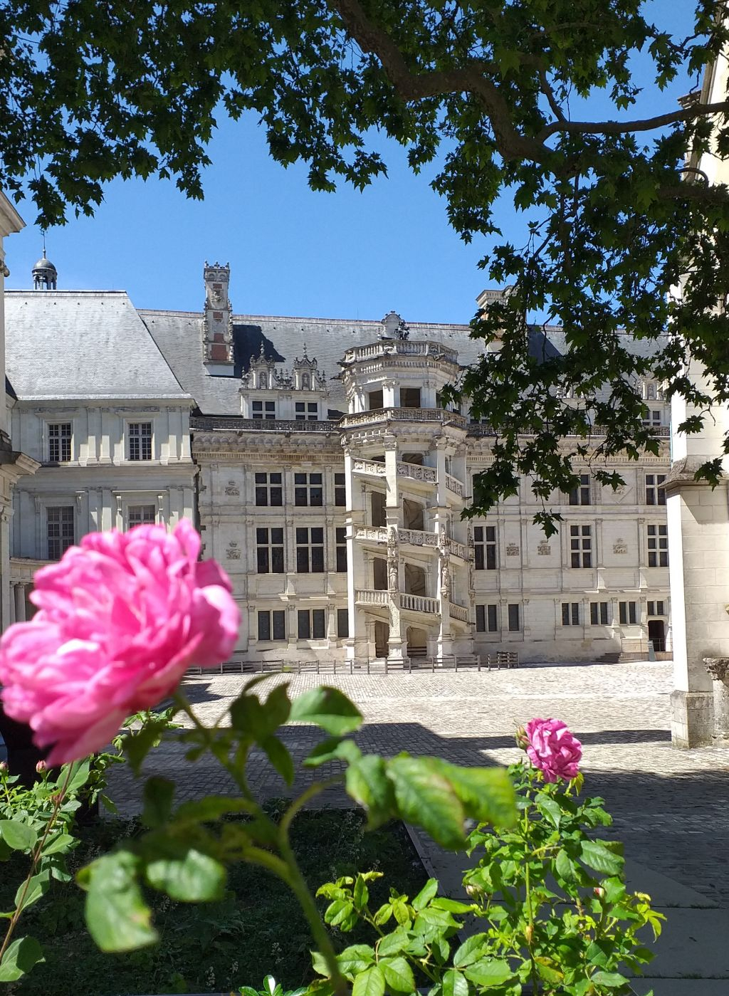 Le Château Royal de Blois: Billet d'entrée