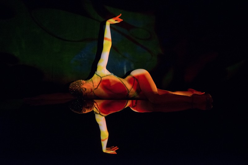 Crazy Horse Paris: Show Only